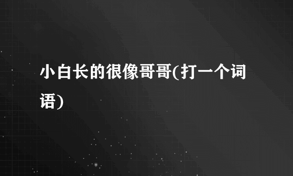 小白长的很像哥哥(打一个词语)