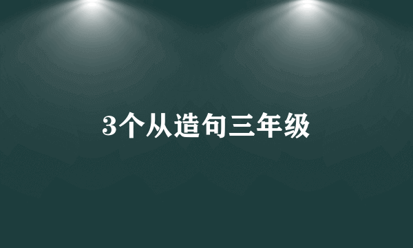 3个从造句三年级