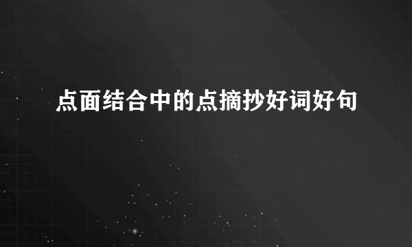 点面结合中的点摘抄好词好句