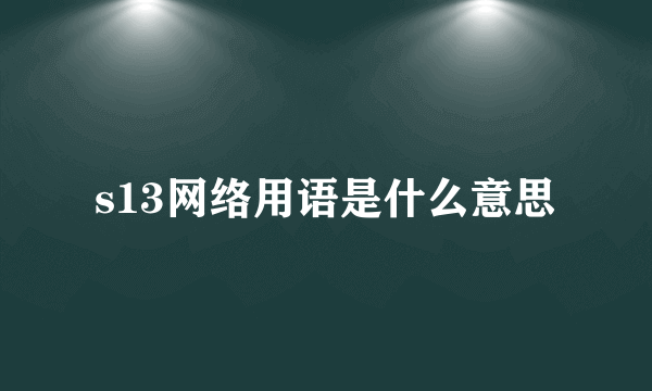 s13网络用语是什么意思