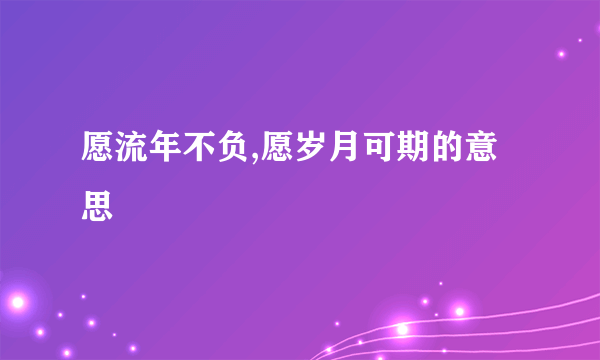 愿流年不负,愿岁月可期的意思