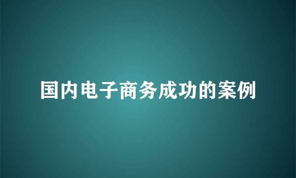 国内电子商务成功的案例