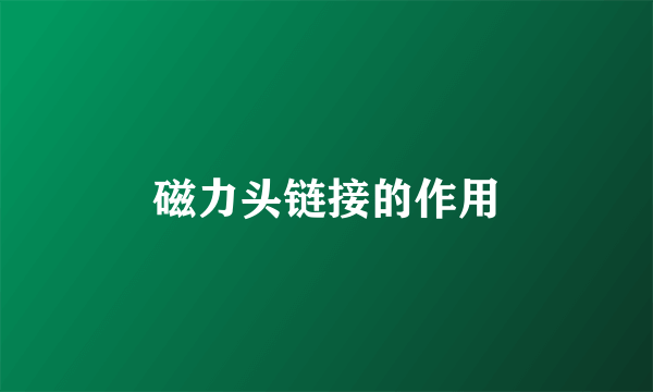 磁力头链接的作用
