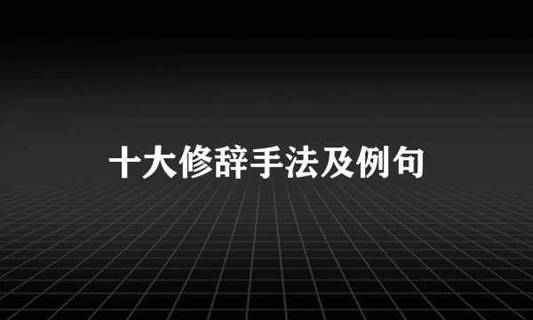 十大修辞手法及例句