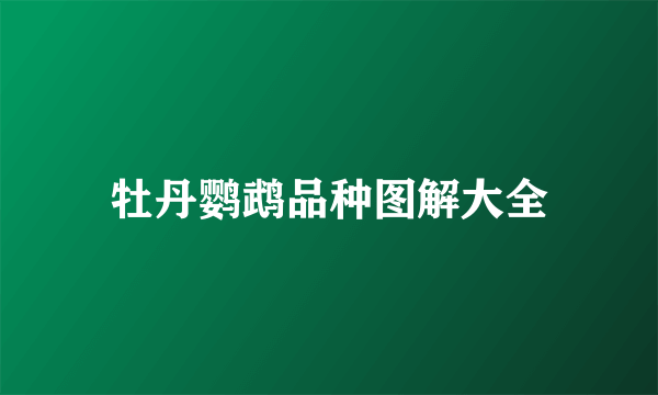 牡丹鹦鹉品种图解大全
