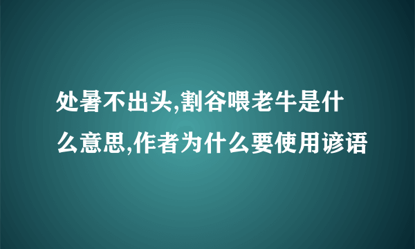 处暑不出头,割谷喂老牛是什么意思,作者为什么要使用谚语