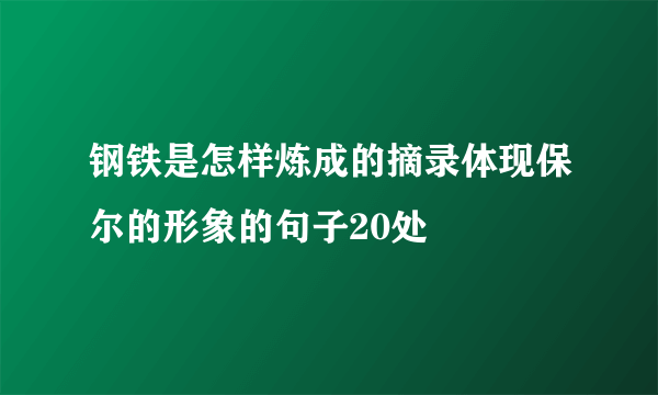 钢铁是怎样炼成的摘录体现保尔的形象的句子20处