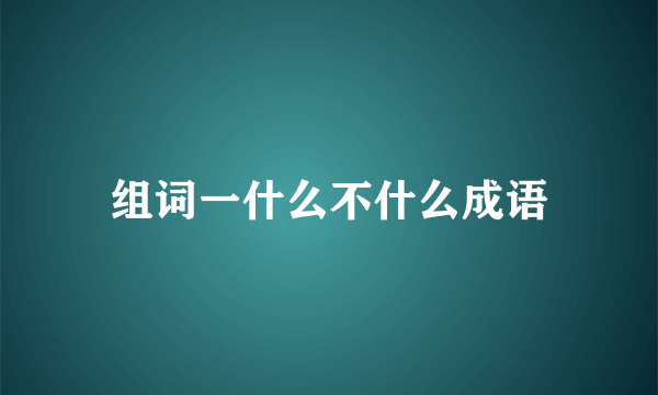 组词一什么不什么成语