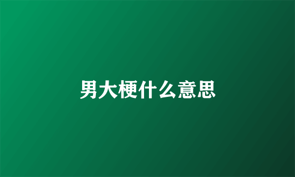 男大梗什么意思
