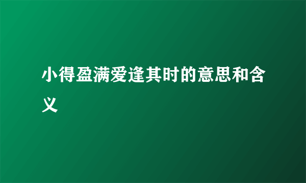 小得盈满爱逢其时的意思和含义