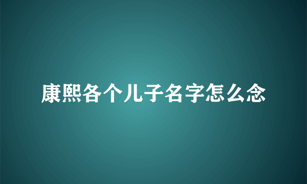 康熙各个儿子名字怎么念