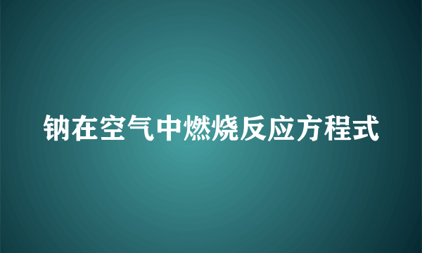 钠在空气中燃烧反应方程式