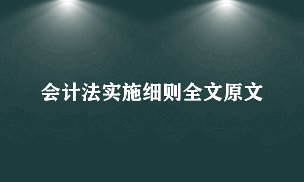 会计法实施细则全文原文