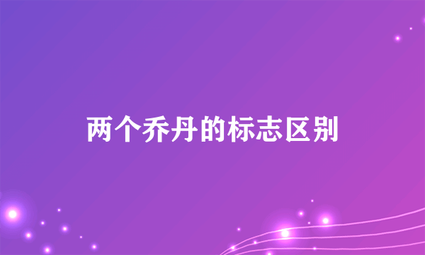 两个乔丹的标志区别