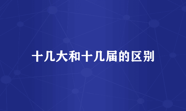 十几大和十几届的区别