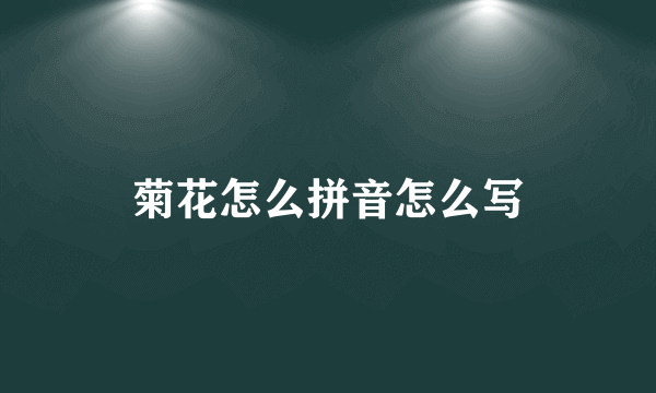 菊花怎么拼音怎么写