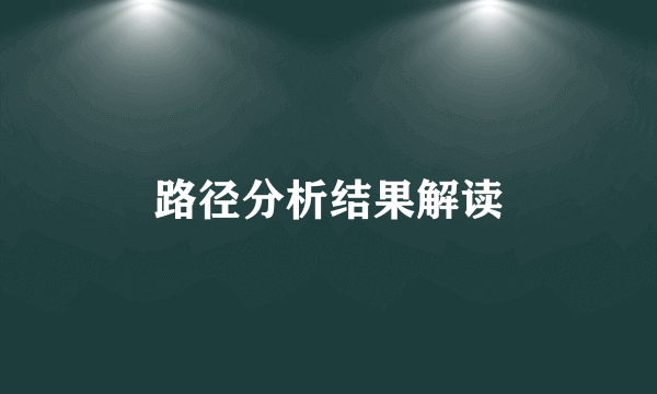 路径分析结果解读