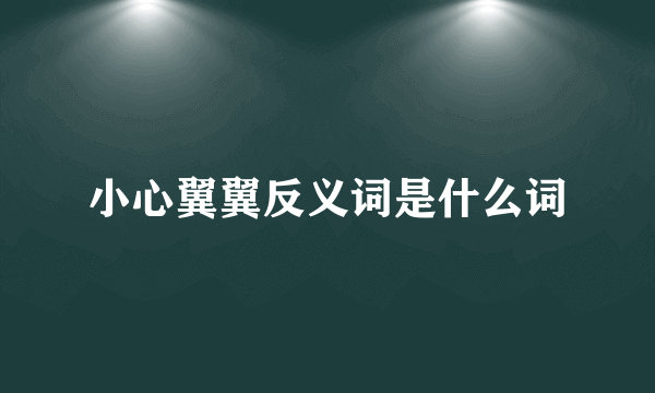 小心翼翼反义词是什么词