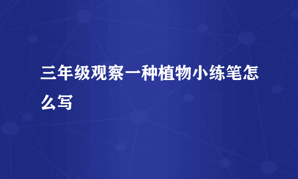 三年级观察一种植物小练笔怎么写