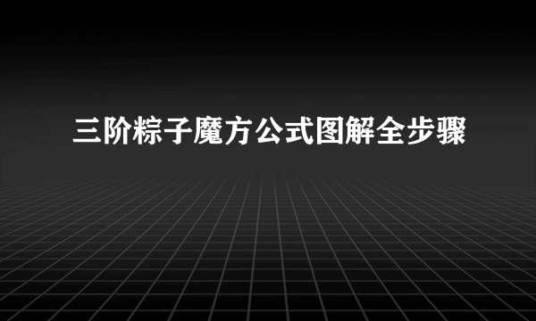 三阶粽子魔方公式图解全步骤