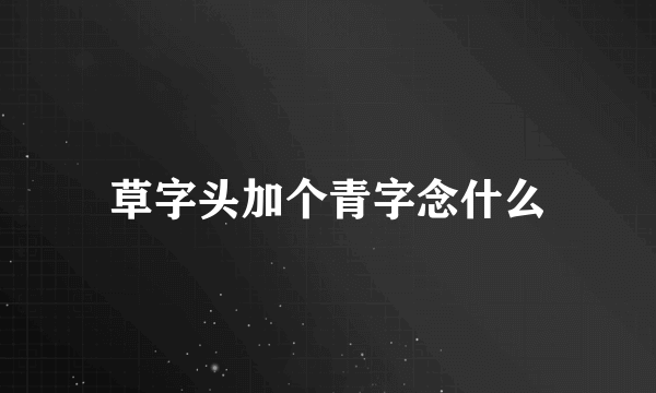 草字头加个青字念什么