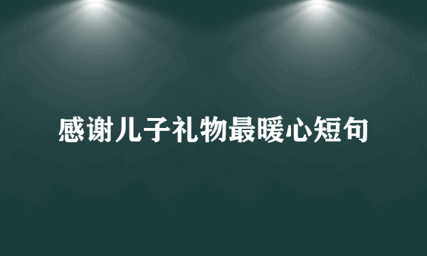 感谢儿子礼物最暖心短句