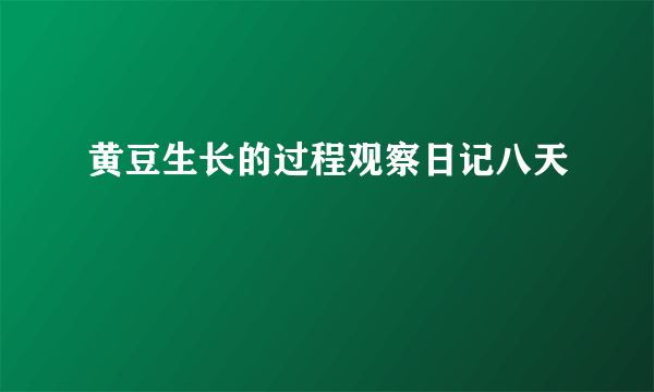 黄豆生长的过程观察日记八天
