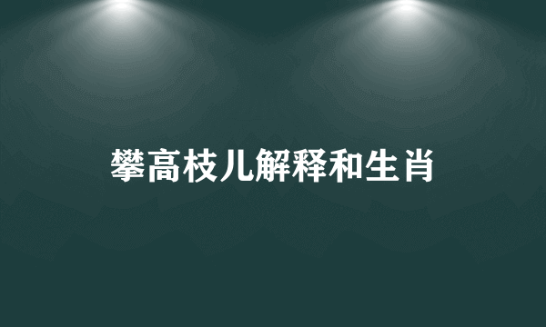 攀高枝儿解释和生肖