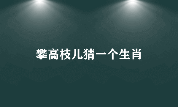 攀高枝儿猜一个生肖