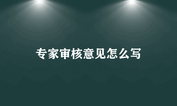专家审核意见怎么写