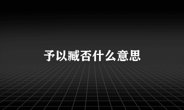 予以臧否什么意思