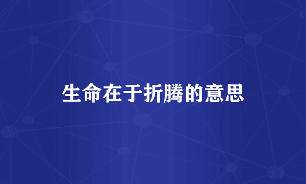 生命在于折腾的意思