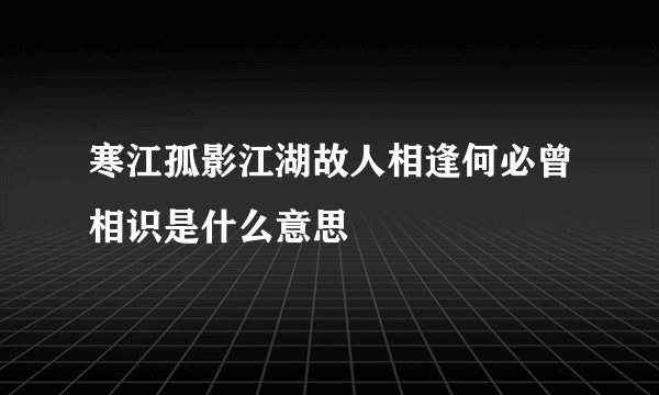 寒江孤影江湖故人相逢何必曾相识是什么意思