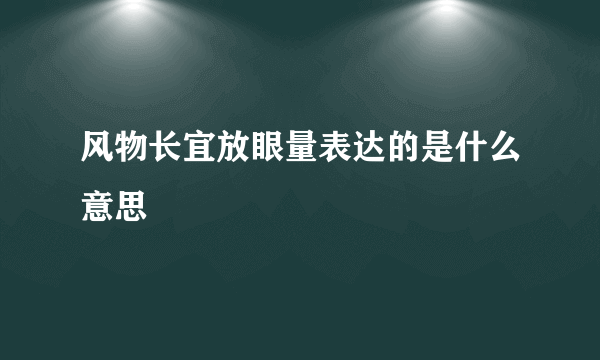 风物长宜放眼量表达的是什么意思