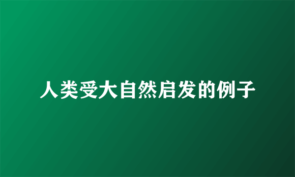 人类受大自然启发的例子