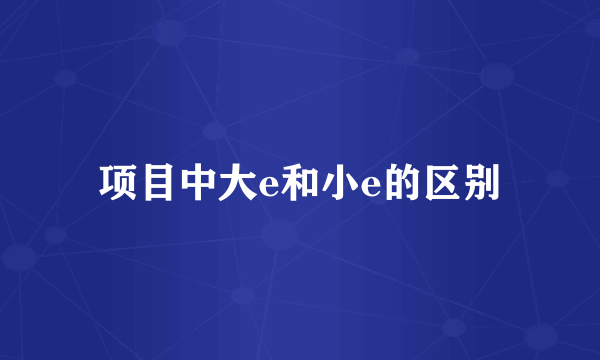项目中大e和小e的区别