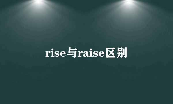 rise与raise区别