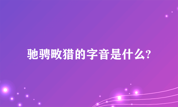 驰骋畋猎的字音是什么?