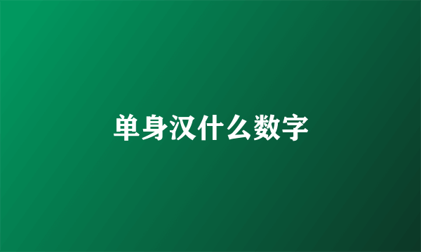 单身汉什么数字