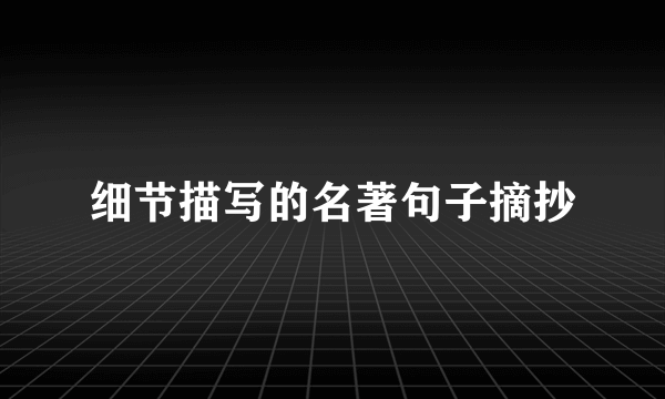 细节描写的名著句子摘抄