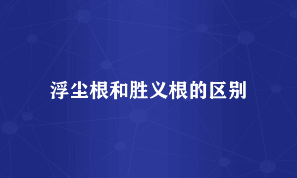 浮尘根和胜义根的区别