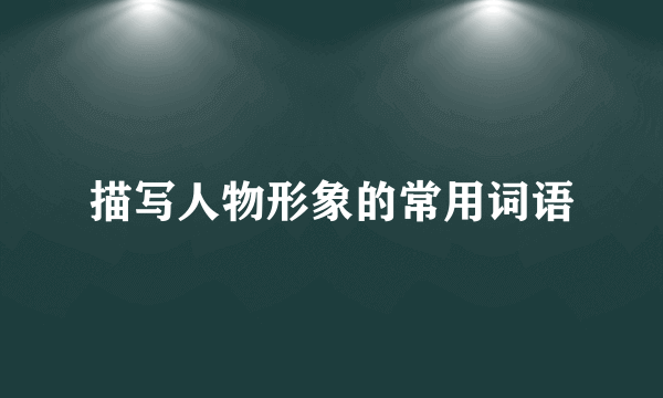 描写人物形象的常用词语