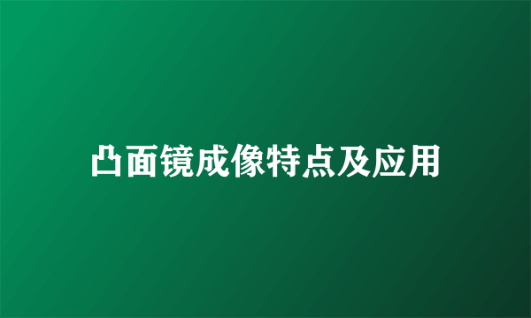 凸面镜成像特点及应用