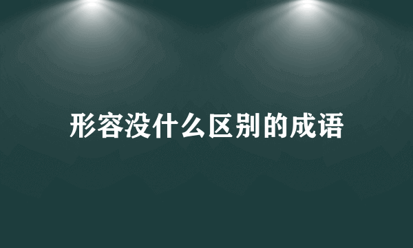 形容没什么区别的成语
