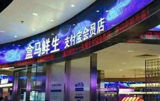 西安盒马存在不规范行为被立案查处，这对盒马的经营造成了什么影响？