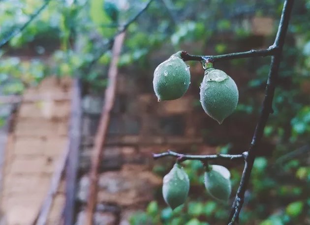 浮天水送无穷树,带雨云埋一半山意思