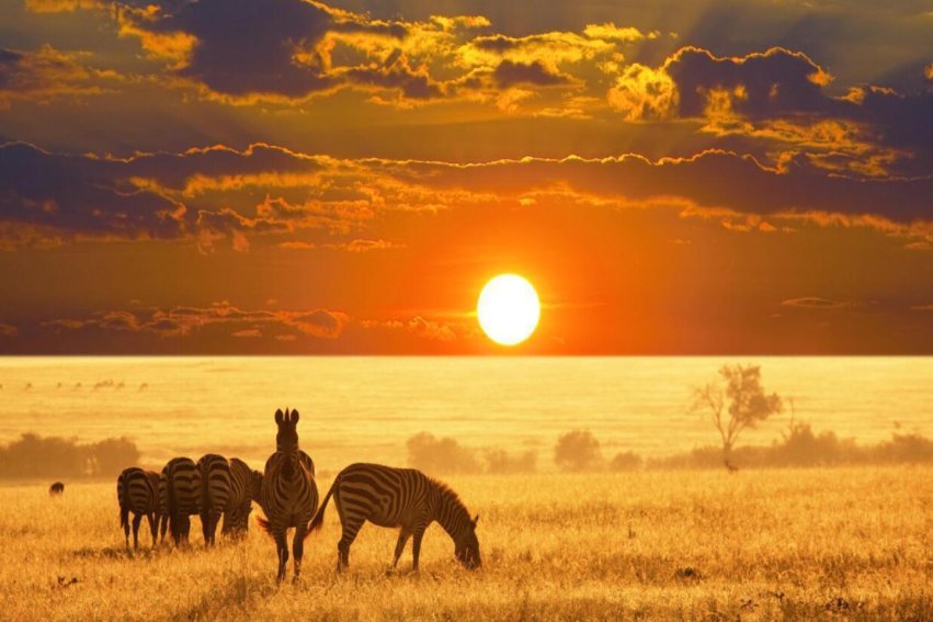 亚非拉是什么意思