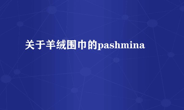 关于羊绒围巾的pashmina