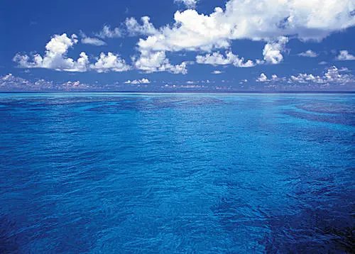 海平面是指哪个海为准？