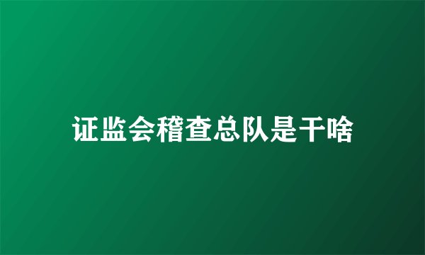 证监会稽查总队是干啥